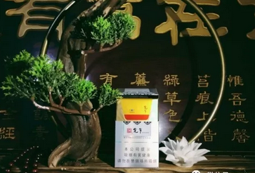10元野马香烟进货渠道